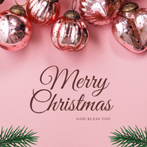 merry christmass to newly wedded couples